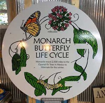 monarch sign