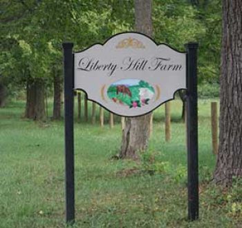 liberty-hill-sign