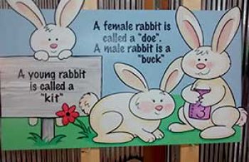instructional rabbit sign