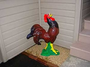 painted rooster